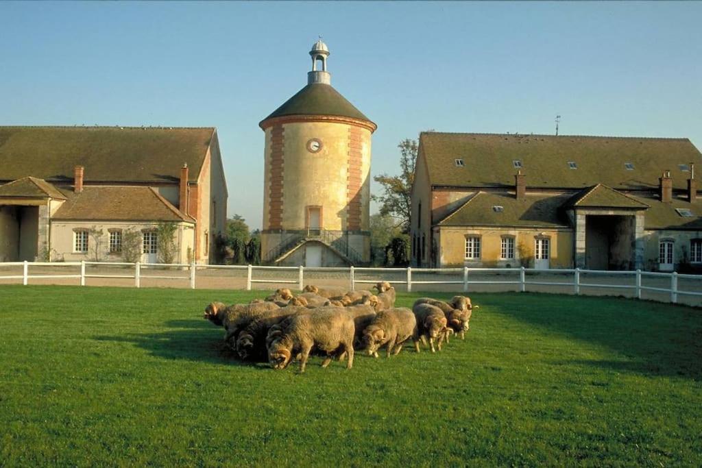 Gite De L'Alisier - Rambouillet - Exteriér fotografie